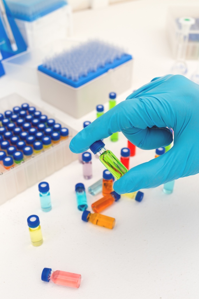 Perindopril-d4 t-Butylamine Salt 10mg