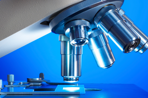 Phenylmethyl 3,7-Bis[(trimethylsilyl)oxy]-chol-6-en-24-oic Acid Ester 25mg