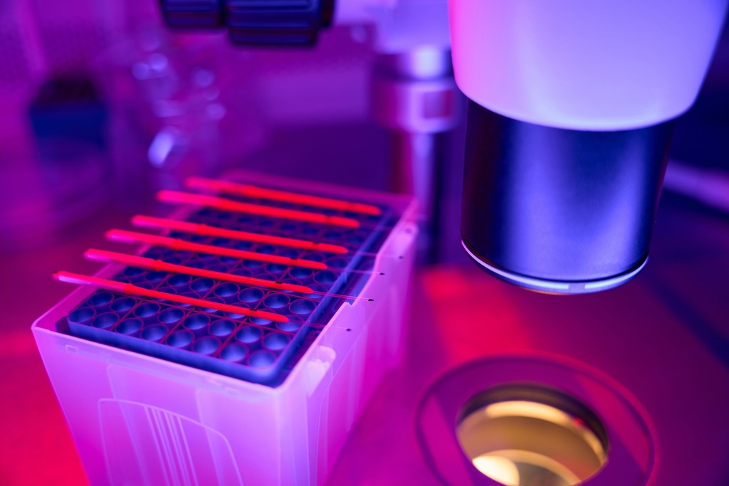 Powdered Ginger (500 mg),